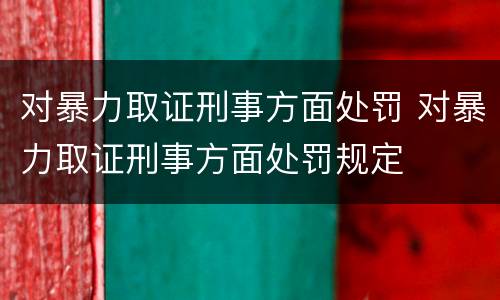 对暴力取证刑事方面处罚 对暴力取证刑事方面处罚规定