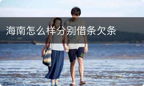 海南怎么样分别借条欠条