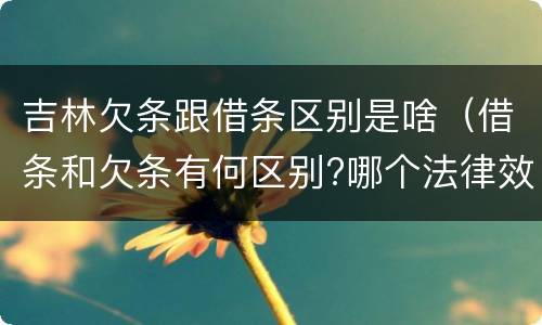 吉林欠条跟借条区别是啥（借条和欠条有何区别?哪个法律效力更大?）