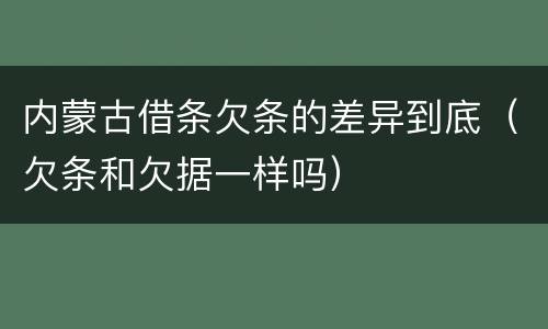 内蒙古借条欠条的差异到底（欠条和欠据一样吗）