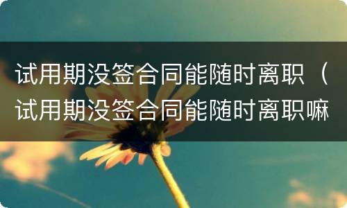 试用期没签合同能随时离职（试用期没签合同能随时离职嘛）