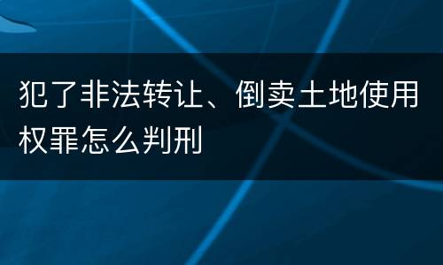 犯了非法转让、倒卖土地使用权罪怎么判刑