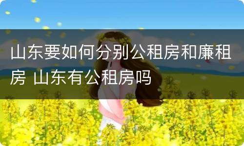 山东要如何分别公租房和廉租房 山东有公租房吗