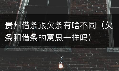 贵州借条跟欠条有啥不同（欠条和借条的意思一样吗）