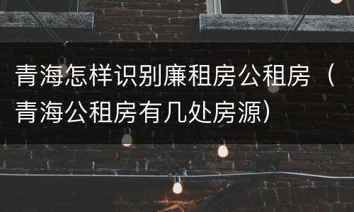 青海怎样识别廉租房公租房（青海公租房有几处房源）