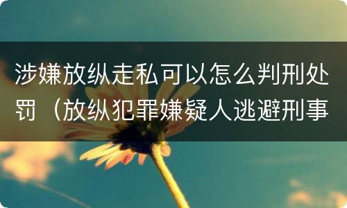 涉嫌放纵走私可以怎么判刑处罚（放纵犯罪嫌疑人逃避刑事责任）