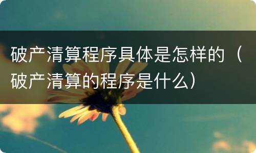 破产清算程序具体是怎样的（破产清算的程序是什么）