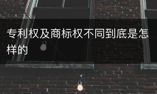 专利权及商标权不同到底是怎样的