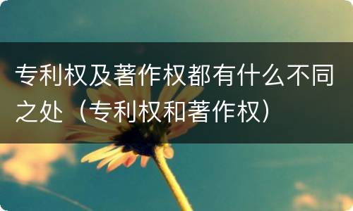 专利权及著作权都有什么不同之处（专利权和著作权）