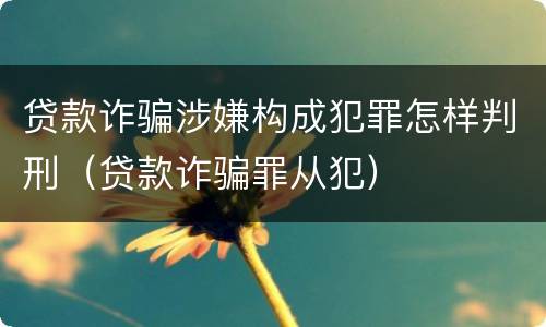 贷款诈骗涉嫌构成犯罪怎样判刑（贷款诈骗罪从犯）