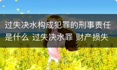 过失决水构成犯罪的刑事责任是什么 过失决水罪 财产损失标准