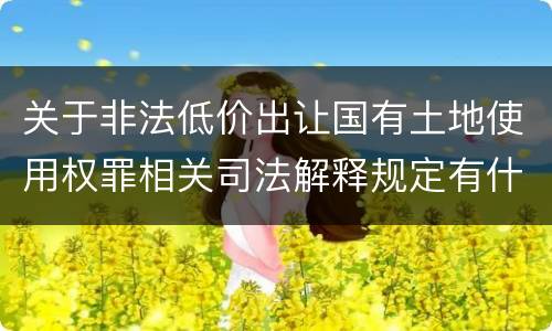 关于非法低价出让国有土地使用权罪相关司法解释规定有什么主要内容