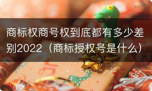 商标权商号权到底都有多少差别2022（商标授权号是什么）
