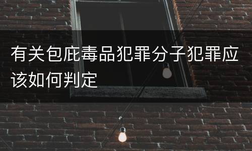 有关包庇毒品犯罪分子犯罪应该如何判定