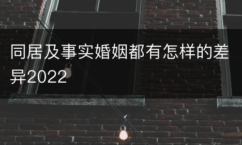 同居及事实婚姻都有怎样的差异2022