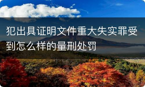 犯出具证明文件重大失实罪受到怎么样的量刑处罚