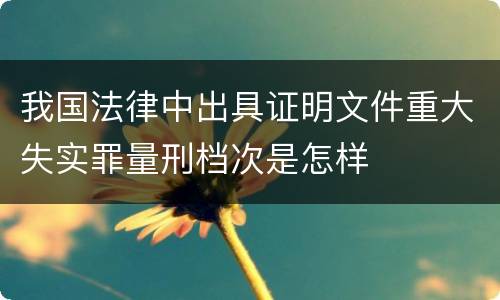我国法律中出具证明文件重大失实罪量刑档次是怎样
