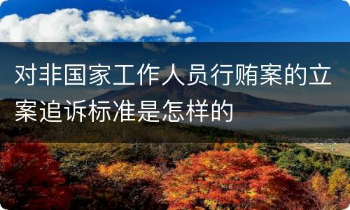 对非国家工作人员行贿案的立案追诉标准是怎样的