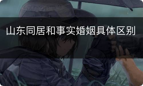 山东同居和事实婚姻具体区别