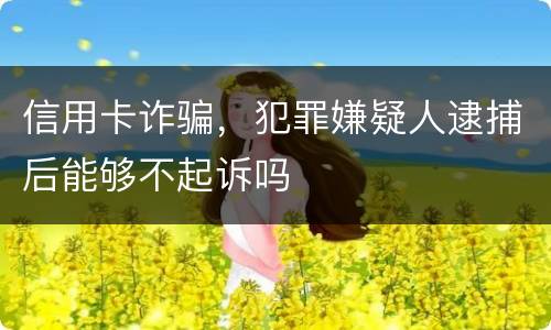 信用卡诈骗，犯罪嫌疑人逮捕后能够不起诉吗