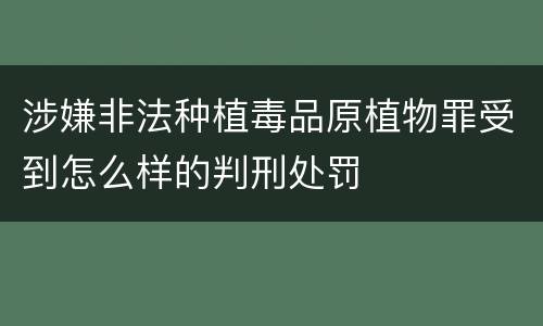 涉嫌非法种植毒品原植物罪受到怎么样的判刑处罚