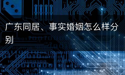 广东同居、事实婚姻怎么样分别