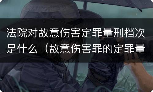 法院对故意伤害定罪量刑档次是什么（故意伤害罪的定罪量刑）