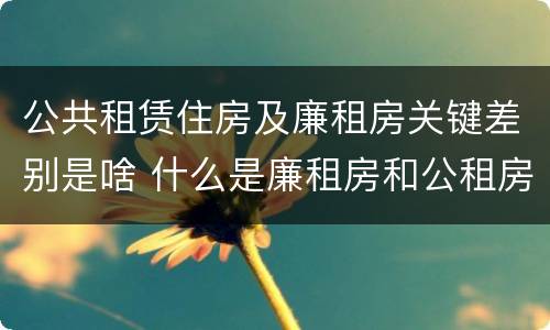 公共租赁住房及廉租房关键差别是啥 什么是廉租房和公租房两个有什么特点
