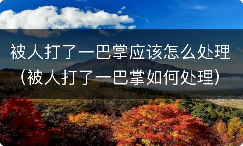 被人打了一巴掌应该怎么处理（被人打了一巴掌如何处理）