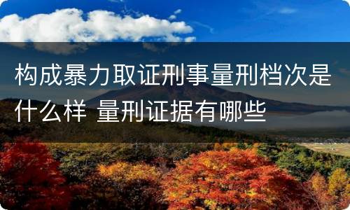 构成暴力取证刑事量刑档次是什么样 量刑证据有哪些