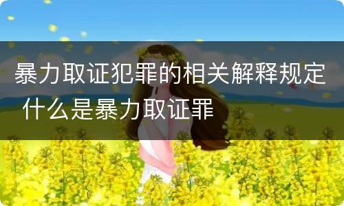暴力取证犯罪的相关解释规定 什么是暴力取证罪