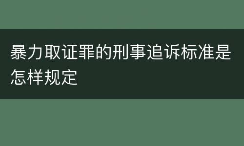 暴力取证罪的刑事追诉标准是怎样规定