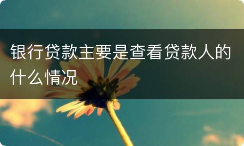 银行贷款主要是查看贷款人的什么情况