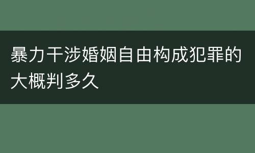 暴力干涉婚姻自由构成犯罪的大概判多久