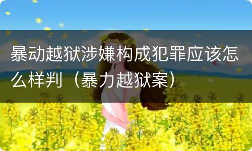暴动越狱涉嫌构成犯罪应该怎么样判（暴力越狱案）