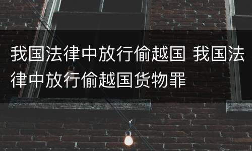 我国法律中放行偷越国 我国法律中放行偷越国货物罪