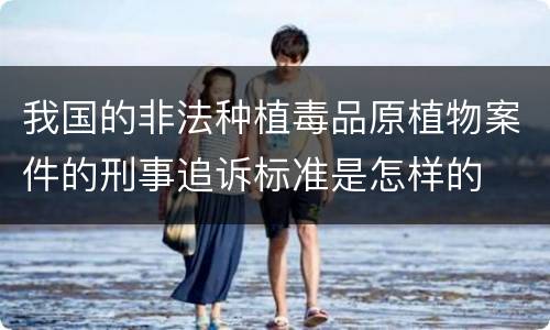 我国的非法种植毒品原植物案件的刑事追诉标准是怎样的