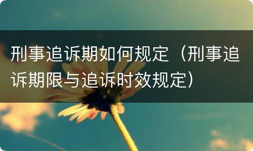 刑事追诉期如何规定（刑事追诉期限与追诉时效规定）