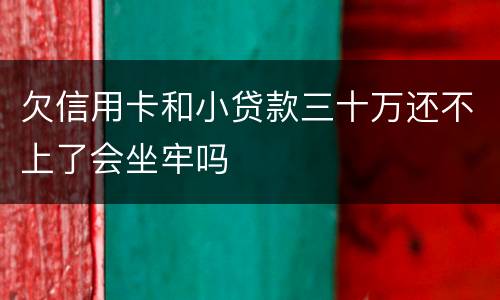 欠信用卡和小贷款三十万还不上了会坐牢吗