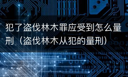犯了盗伐林木罪应受到怎么量刑（盗伐林木从犯的量刑）