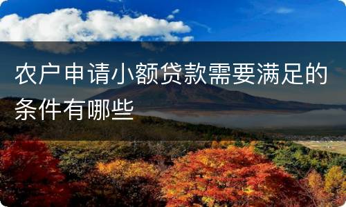 农户申请小额贷款需要满足的条件有哪些