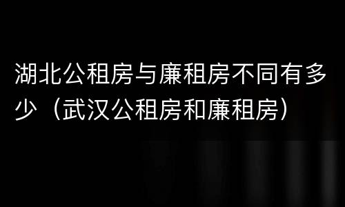 湖北公租房与廉租房不同有多少（武汉公租房和廉租房）