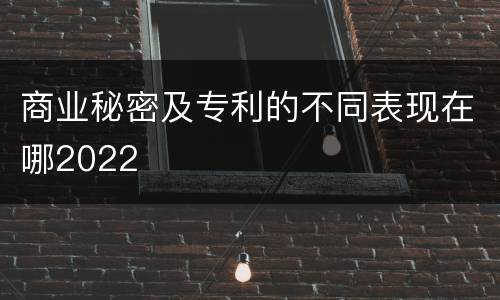 商业秘密及专利的不同表现在哪2022