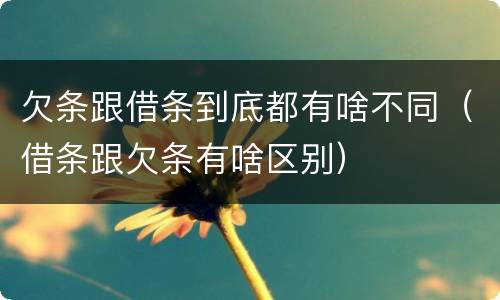 欠条跟借条到底都有啥不同（借条跟欠条有啥区别）