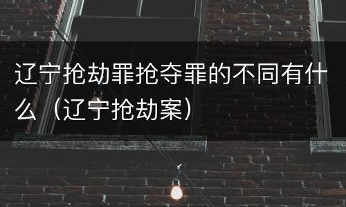 辽宁抢劫罪抢夺罪的不同有什么（辽宁抢劫案）