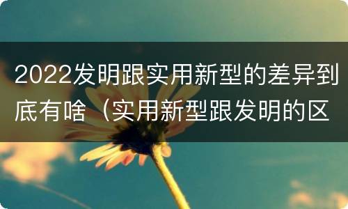 2022发明跟实用新型的差异到底有啥（实用新型跟发明的区别）