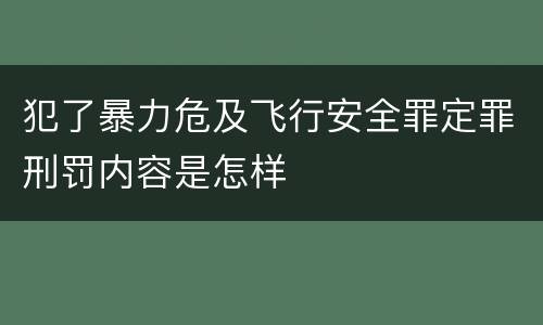 犯了暴力危及飞行安全罪定罪刑罚内容是怎样