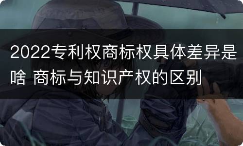 2022专利权商标权具体差异是啥 商标与知识产权的区别