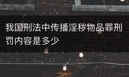 我国刑法中传播淫秽物品罪刑罚内容是多少