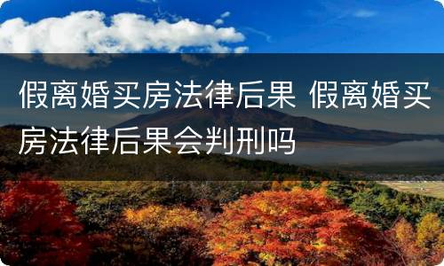 假离婚买房法律后果 假离婚买房法律后果会判刑吗